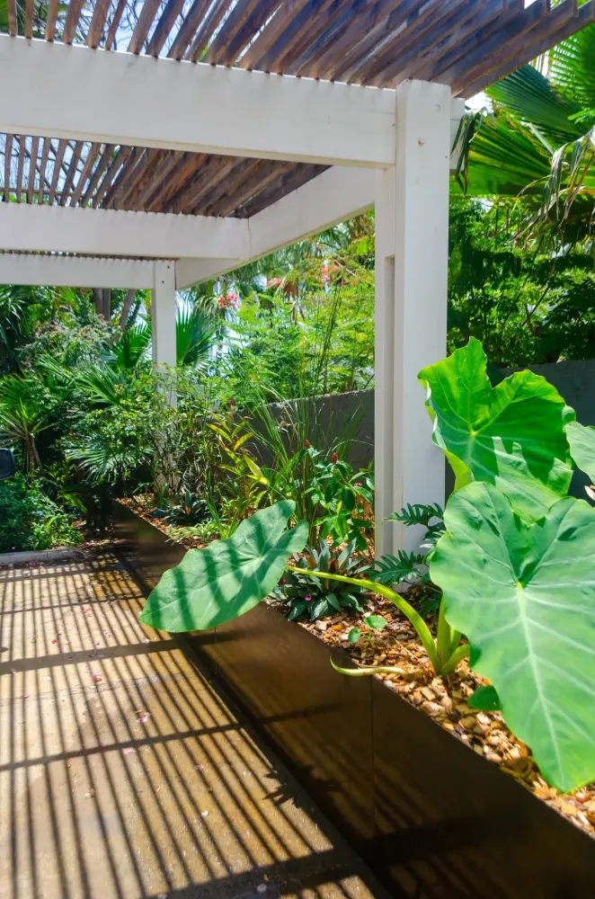 pergola