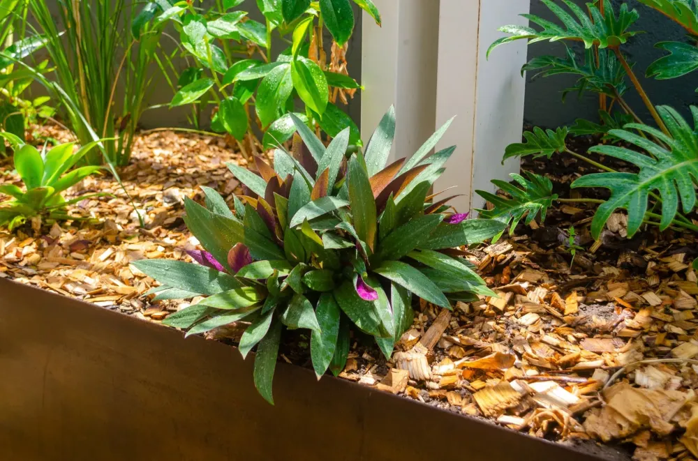 Entretien de jardins