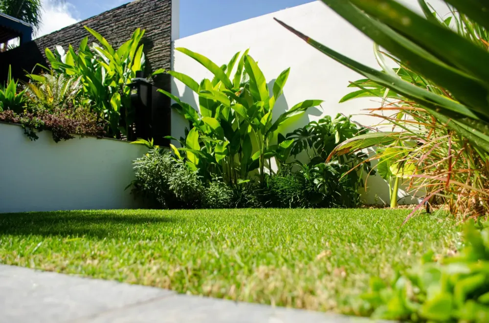 jardin